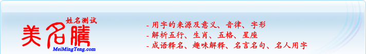 用字的來源及意義、音律、字形；五行、生肖、五格、星座；成語釋名、趣味解釋、名言名句、名人用字