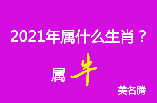 2021年屬什么生肖？2021年屬牛